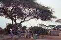 WT 1400 209-05 Kenya